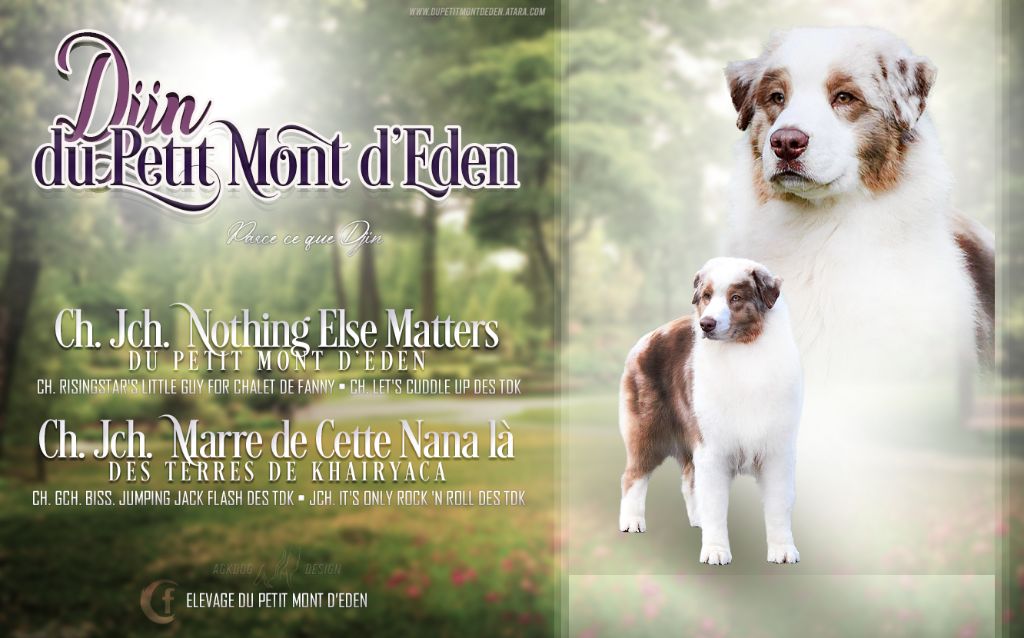 Parce que djin Du Petit Mont D'éden