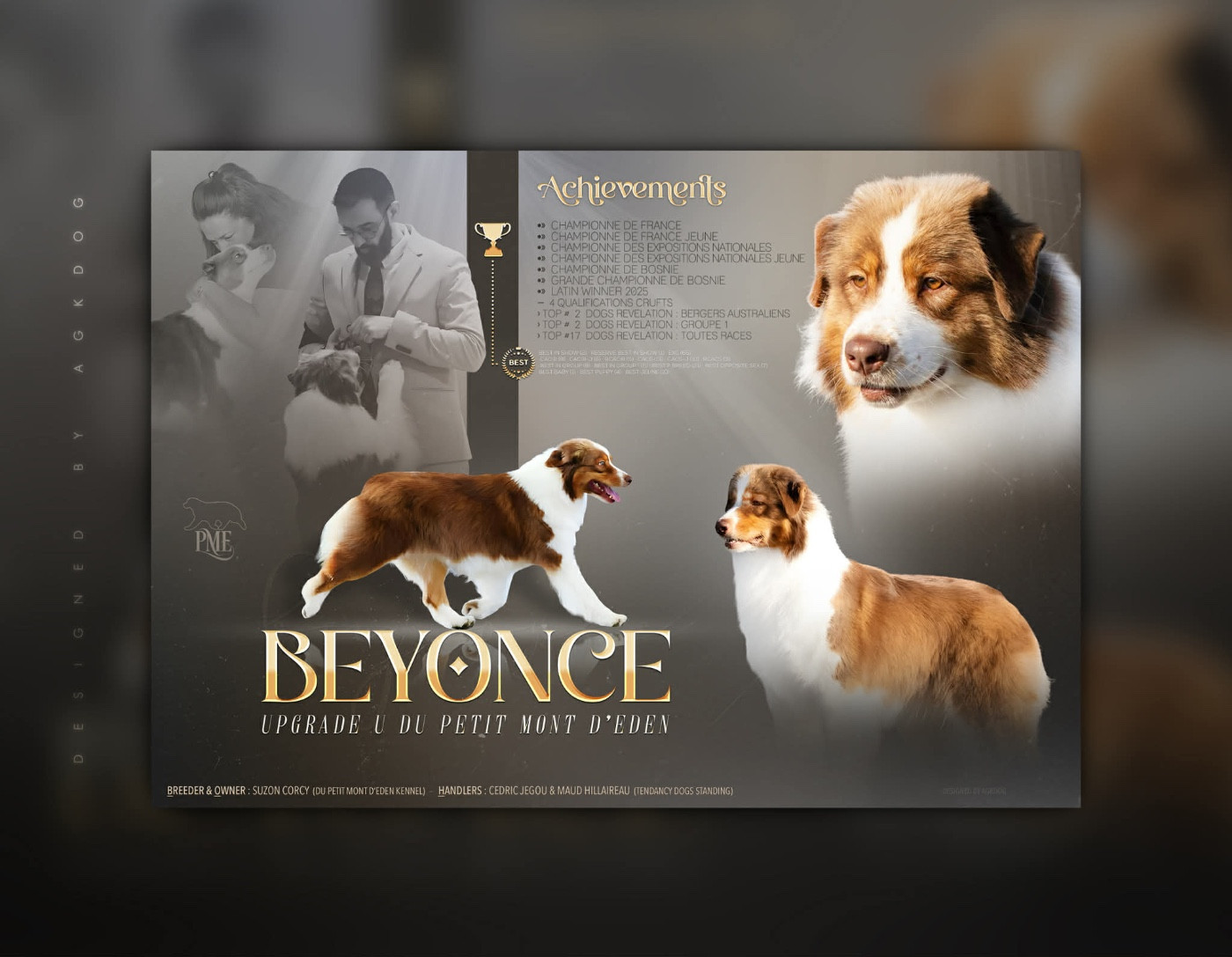 CH. BIS MJCH LW25 Upgrade U « Beyonce » Du Petit Mont D'éden