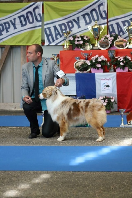 Nationale d'élevage 2014