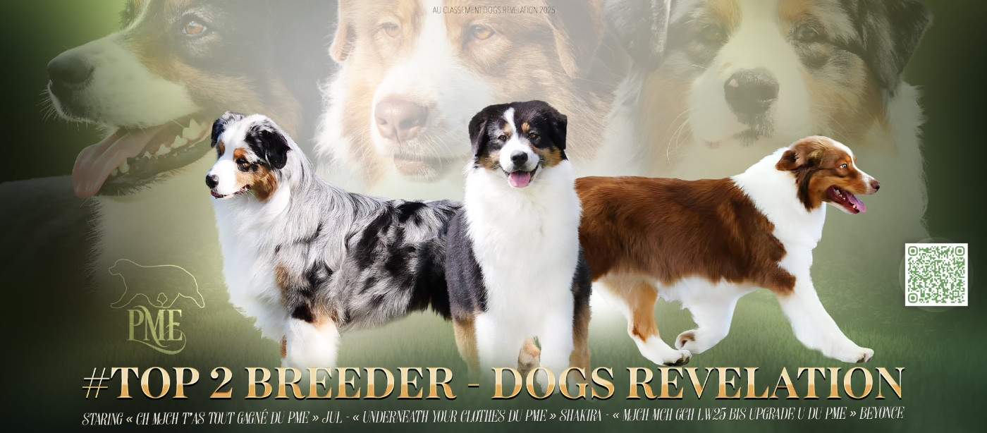 Du Petit Mont D'éden - L élevage 2eme meilleur élevage de France 2025