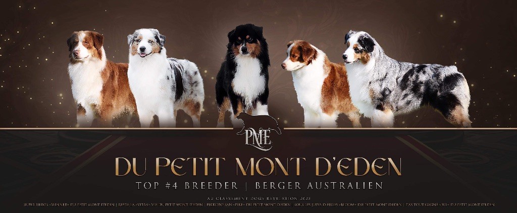 TOP 4 Breeder de France et TOP 1 des hauts de France  2023