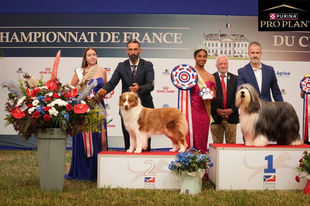 Du Petit Mont D'éden - Championne de France