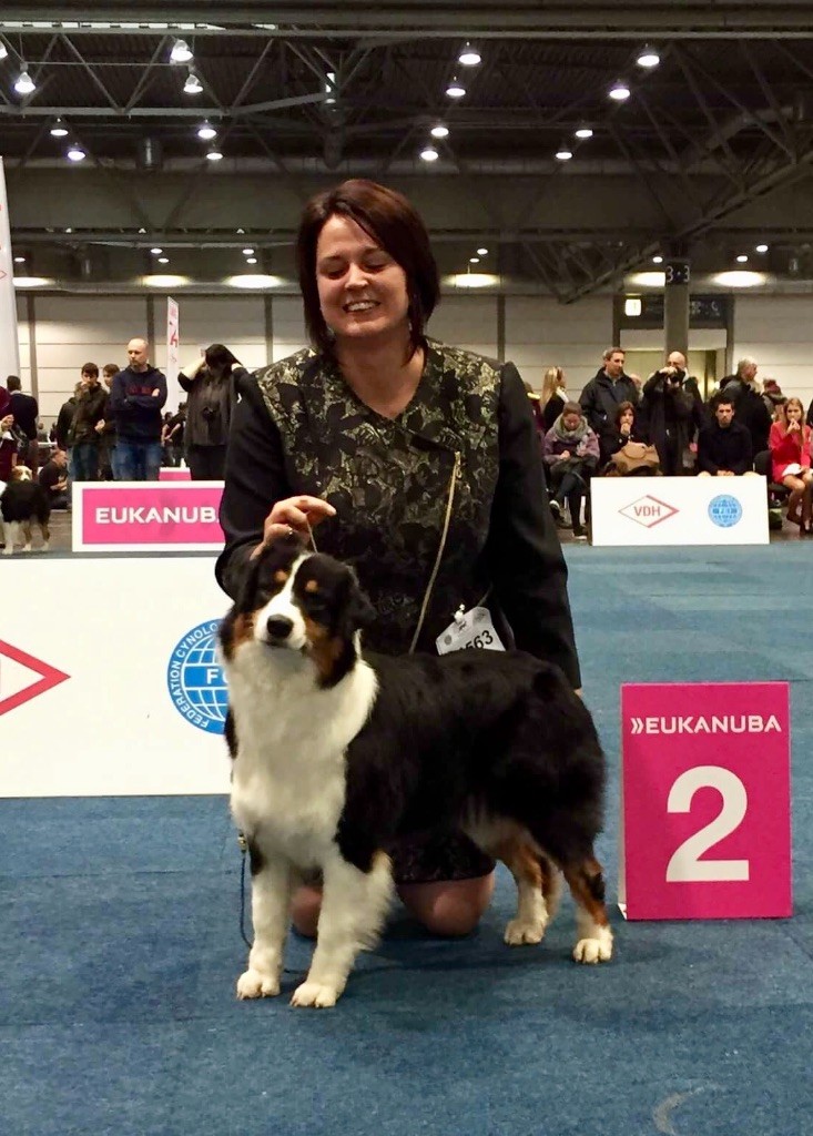 World Dog Show Leipzig 2017